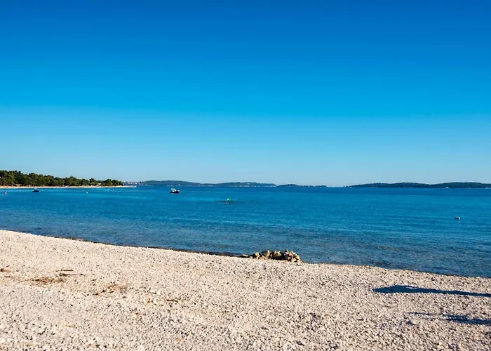 Teuta_commodious At The 보드냔